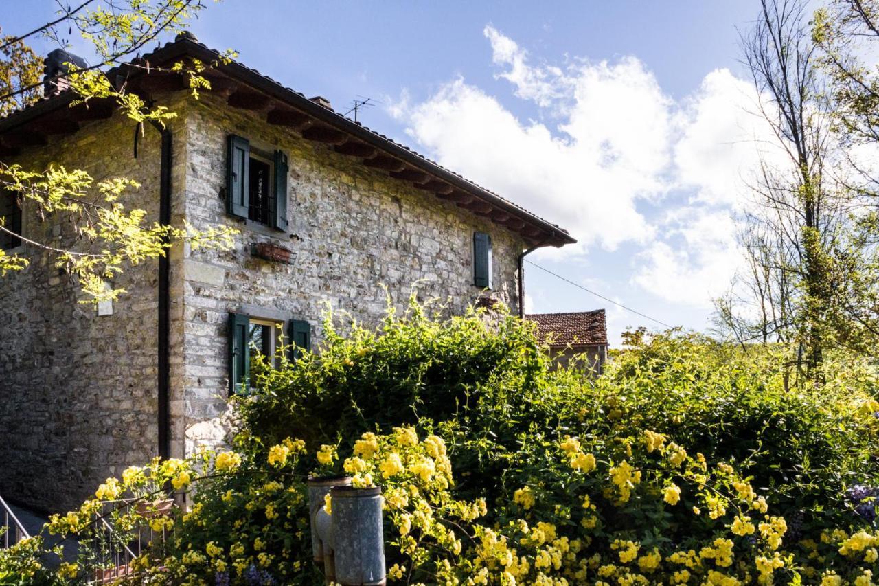 La Cavanella B&B Camugnano ภายนอก รูปภาพ